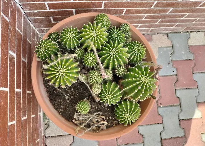 La Quiete In Campagna A Holiday home Spoleto