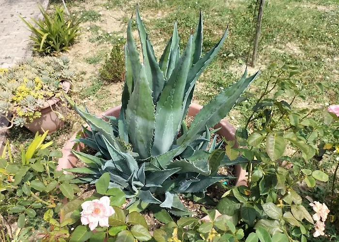 Holiday home La Quiete In Campagna A